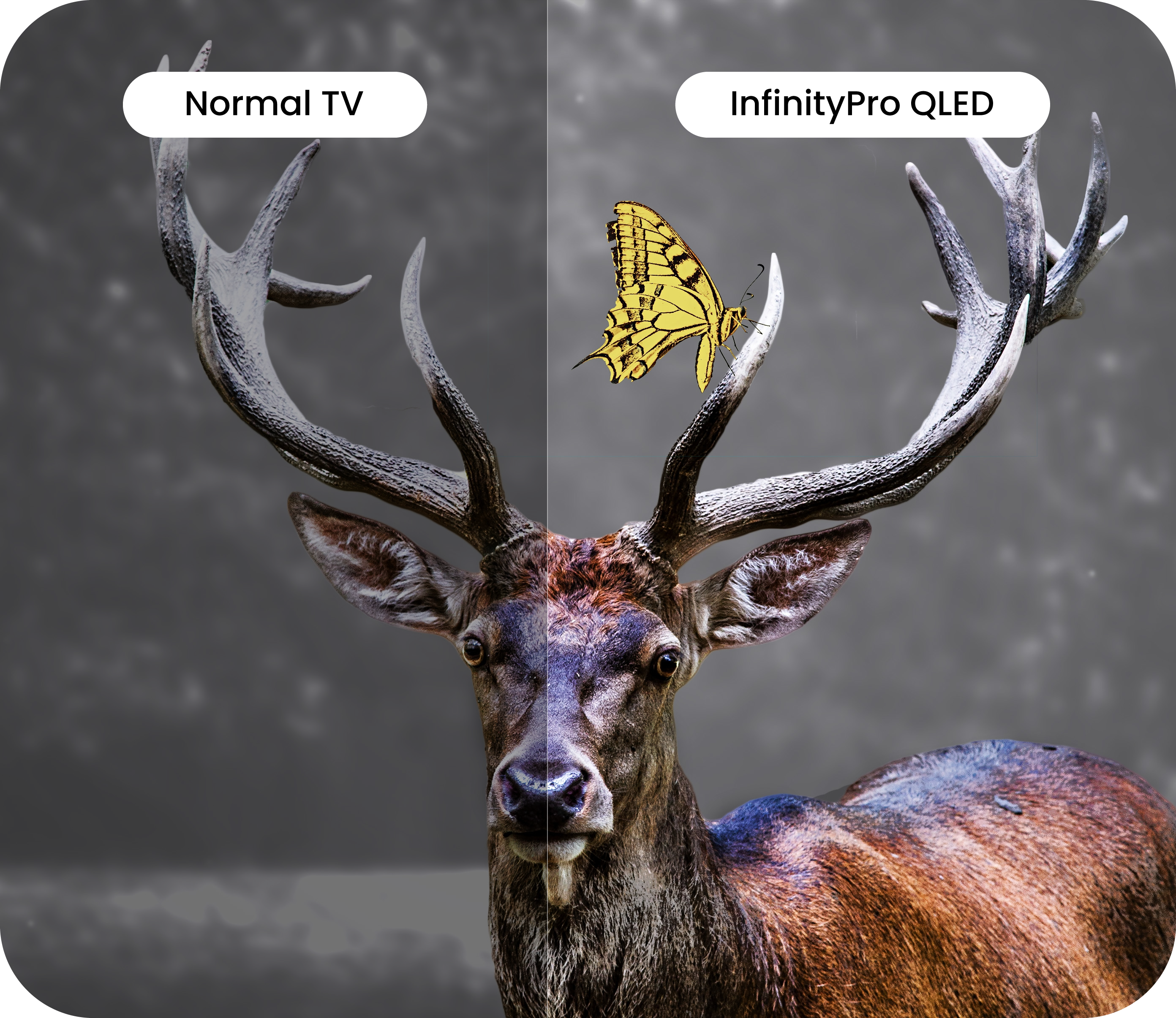 InfinityPro QLED TV - Brightness